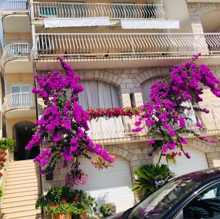 Apartman Nora