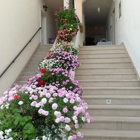 Villa Nora Tučepi Exterior foto